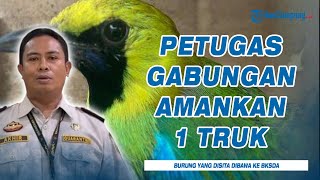 Balai Karantina Lampung Berhasil Gagalkan Penyelundupan 982 Ekor Burung Ilegal