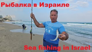 Рыбалка в Израиле. Sea Fishing in Israel. Сашими из Телевизии