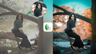 Snapseed Creative Photo Editing || Change Realistic Photo Background || Snapseed Best Tricks