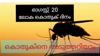 ലോക കൊതുക് ദിനം, ആഗസ്റ്റ് 20# lnternational Mosquito day