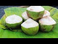 ഇളനീരിന്റെ ഗുണങ്ങൾ ഏറെയാണ് benefits of coconut water healthy tender coconut healthy drinks