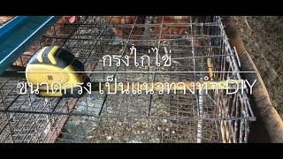 ขนาดกรงไก่ไข่ มาตรฐาน ไว้ทำเองราคาประหยัด