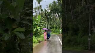 Wayanad in Monsoon 😍 #shorts #travelshorts #kerala #wayanad #shortsfeed #explorepage #ytshorts