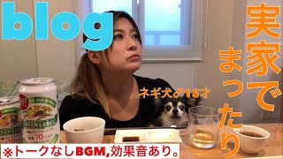 【blog】実家で楽しい飲み会！※トークなし、BGM・効果音あり。