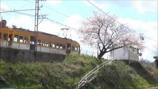 一畑電車・伊野灘駅「満開の一本桜と宍道湖を望む無人駅」～のんびり駅探訪⑯