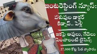 పశువుల డాక్టర్ కిడ్నాప్:బలవంతంగా పెళ్లి|ఇకపైన గేదెలు పెంచుకోవాలంటే లైసెన్స్||27,000 కోట్ల పేడ వ్యాపా