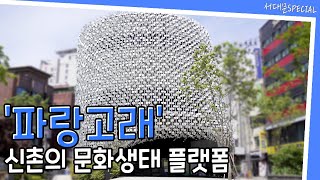 (서대문 스페셜)신촌파랑고래