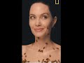 World Bee Day with Angelina Jolie