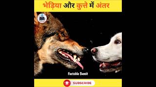 कुत्ते और भेड़िया में अंतर | fact in Hindi | #facts #shortviral #fact #shorts #wolf #dog