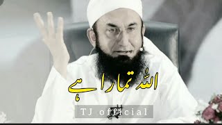 Allah tumhara nahi | Tariq Jameel status❤ | Tariq Jameel bayan🍁 #tariqjameel #tjofficial #islam
