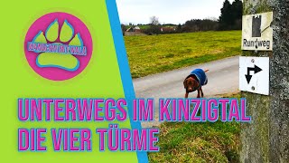 Die 4 Türme - Steinau an der Straße - Kinzigtal - Wandern mit Hund 🐕