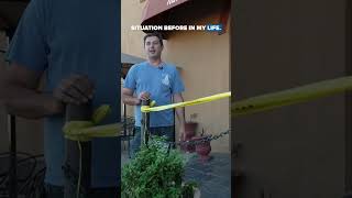Chilling video shows arson attack on Texas restaurant