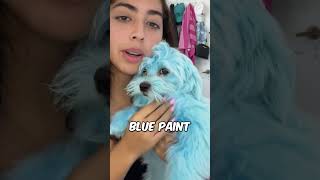 This turned her dogs blue by accident 🫢