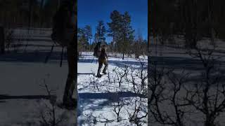 Snowshoeing in the Black Hills of South Dakota! Who needs a trail when you have powder like this?