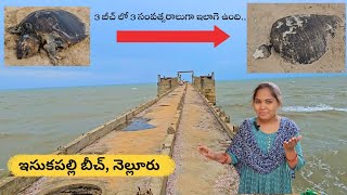 నేను పెరిగిన ఇల్లు చుడండి / బీచ్ కి వెళ్ళాం / NELLORE ISKAPALLE BEACH