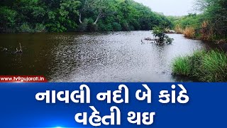 Gujarat Rains: Navli river overflowing following heavy downpour in Amreli| TV9GujaratiNews