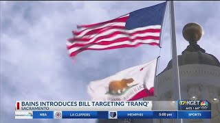 Assemblymember Dr. Jasmeet Bains introduces bill targeting 'Tranq'