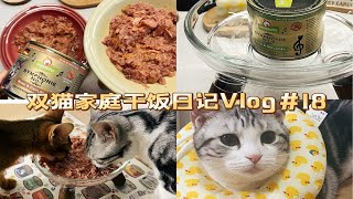 金交牛牛vs小牛哪个更好吃|双猫家庭干饭日记Vlog18