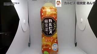 アサヒ飲料より発売！カルピス 極実堂 あんずを飲んだよ！日本で親しまれている漬け込み製法から着想を得た極実堂シリーズ第2弾商品！