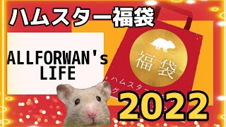 【ハムスター】ハムスター福袋2022⭐︎（オールフォーワンズライフさん）【福袋】