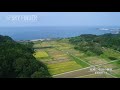 新潟空撮 収穫 中浜の棚田（新潟県村上市）