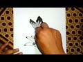 رسم سهل رسم فراشه بكل سهوله رسم سهل طريقه رسم بالقلم الرصاص خطوة بخطوة رسم للمبتدئين