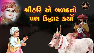 Swaminarayan Paracha | શ્રીહરિ એ બળદનો પણ ઉદ્ધાર કર્યો | Shree HariKrishna