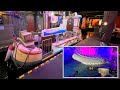 Whale Adventures Ride | Half-Dark Ride & Water-Fight Attraction | Europa-Park Theme Park