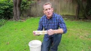 Nematodes for Lawn Grubs - NIC’s How to Apply