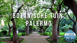 De botanische tuin van Palermo