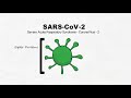 sars cov 2 Όσα πρέπει να γνωρίζετε σε 2 λεπτά