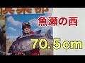 【石鯛】五島灘江ノ島　魚瀬の西　石鯛名手川添哲也の戦略！part 1