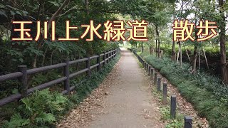 玉川上水緑道 散歩 歩行瞑想 Tamagawajosui Green Road walk. Walking meditation for mindfulness.