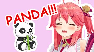 Miko Sees Panda