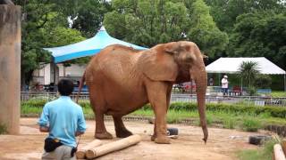 大牟田市動物園 GOING TO THE ZOO