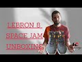 Lebron 8 Space Jam Unboxing