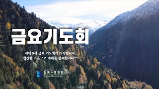 임마누엘교회  금요기도회 2025. 2.21(금)