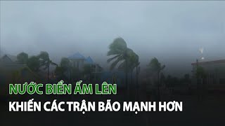 Nước Biển ấm lên khiến các trận Bão mạnh hơn| VTC14