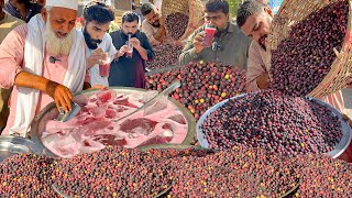 Refreshing Falsa Juice | Roadside Summer Special Drink Phalsa Sharbat | Street Food Karachi