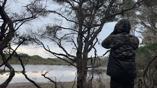 Snake Island Hog Deer Hunt 2024 - Hunting Australia's rarest deer