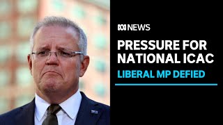 PM facing renewed calls for federal ICAC after Liberal MP defied government | ABC News