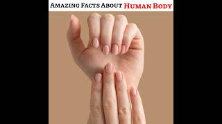 Amazing Facts About Human Body | Human Body Facts #shorts #facts