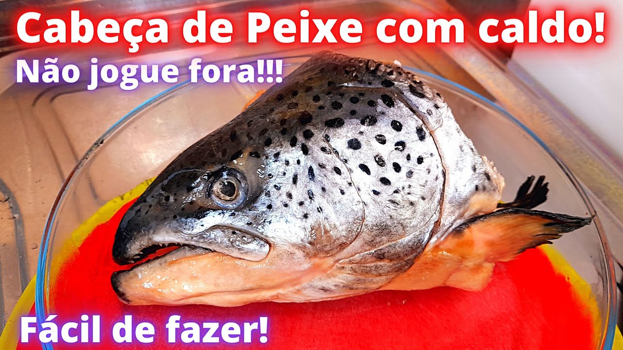 Aprender Sobre 99+ Imagem Foto De Peixe - Br.thptnganamst.edu.vn