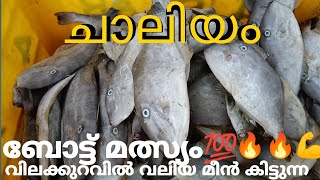 ചാലിയം ബോട്ട് മീൻ ചാകരയും 😳 വലിയ മീനുകൾ🐟 കുറഞ്ഞ നിലക്കൽ 🪙 കിട്ടുന്ന 💯 ഏറ്റവും നല്ല💪 സ്പോട്ട് 🔥🫂🫂