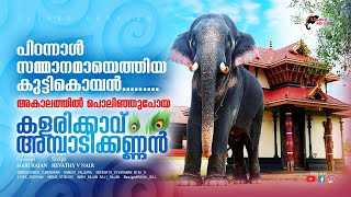 പിറന്നാൾ സമ്മാനമായെത്തിയ കുഞ്ഞൻ|Kalarikkavu AmbadiKannan|Story|who Challenged Raman\u0026Karnan|EPI 115