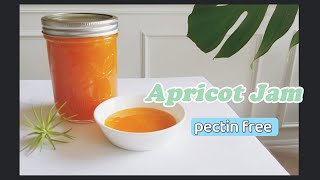 Best & Simple Apricot Jam | Only 2 ingredients | Low sugar | No Pectin