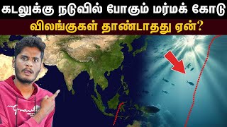 இந்தியப் பெருங்கடலை இரண்டாகப் பிரிக்கும் மர்மக் கோடு! | How Wallace line creates a split in the sea