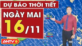 Dự báo thời tiết ngày mai 16/11: Miền Bắc trời hửng nắng, Miền Trung mưa không ngớt  | ANTV