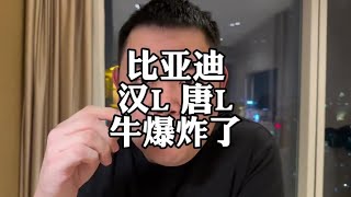 比亚迪开年掀桌子#比亚迪唐L #比亚迪汉L #小米SU7 #小米YU7