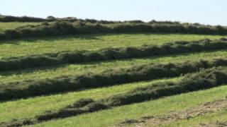 The Super Conditioner - Hay Conditioning Dries Faster and is More Resilient